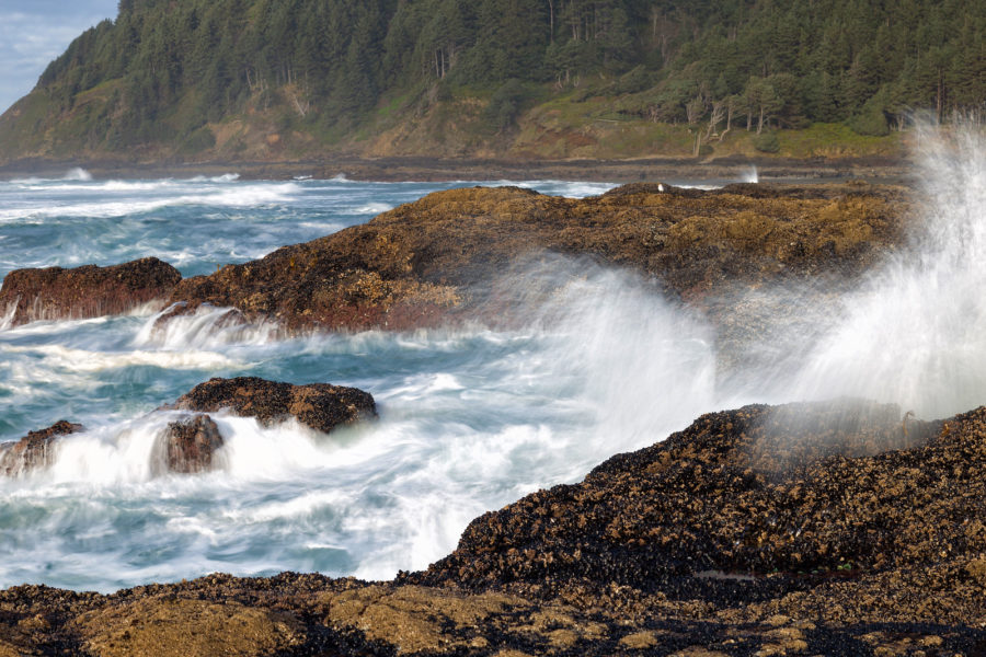 cape perpetua near yachats oregon rocks and waves