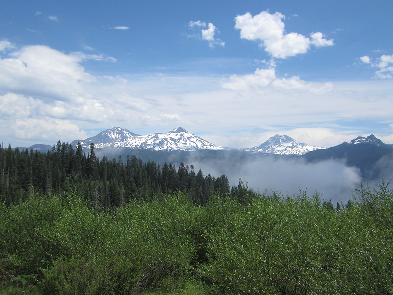 Three snowcapped mountains over a forest in Oregon.