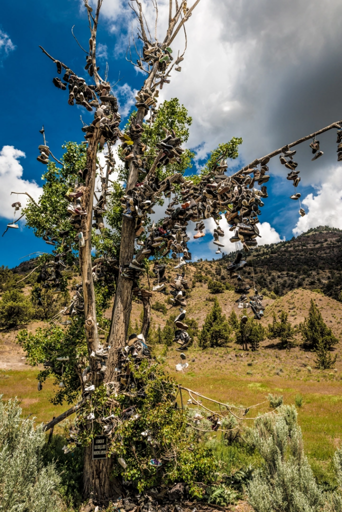 shoe tree mitchell oregon