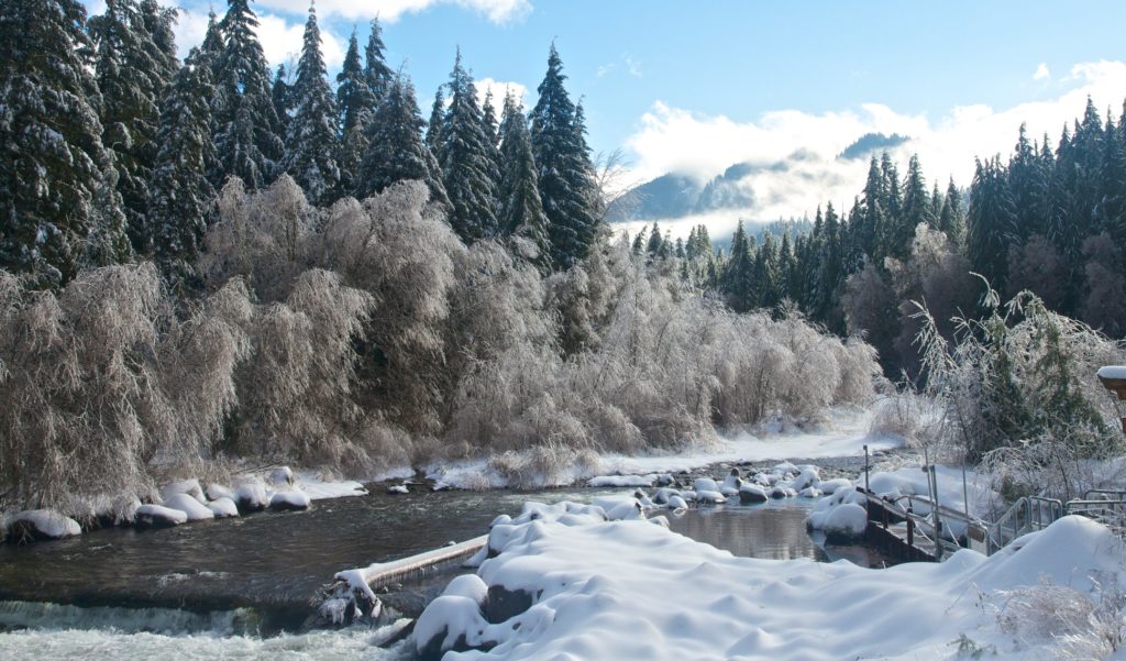 The Breitenbush Hot Springs is Back Open After Severe Fire Damage
