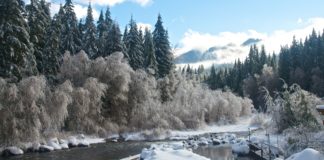 breitenbush river oregon winter