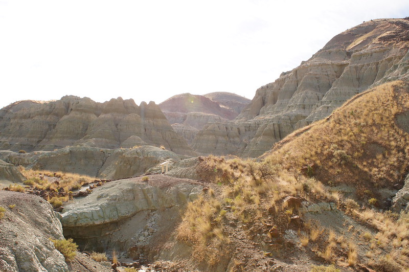 john day fossil beds oregon