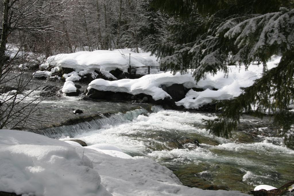 breitenbush river in the snow oregon cascades
