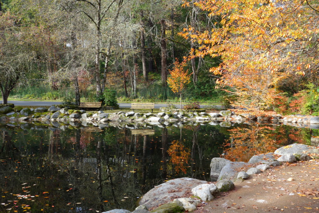 Lithia Park Ashland Oregon Haunted