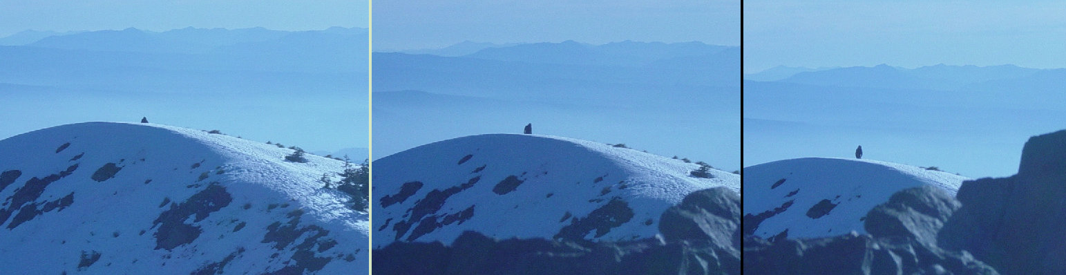 silver star mountain bigfoot images 2005