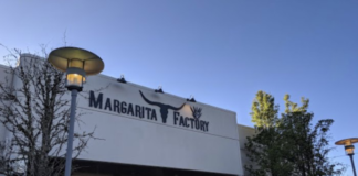 margarita factory
