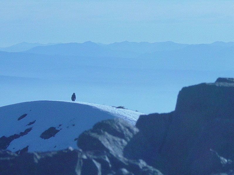 silver star mountain bigfoot sighting 2005