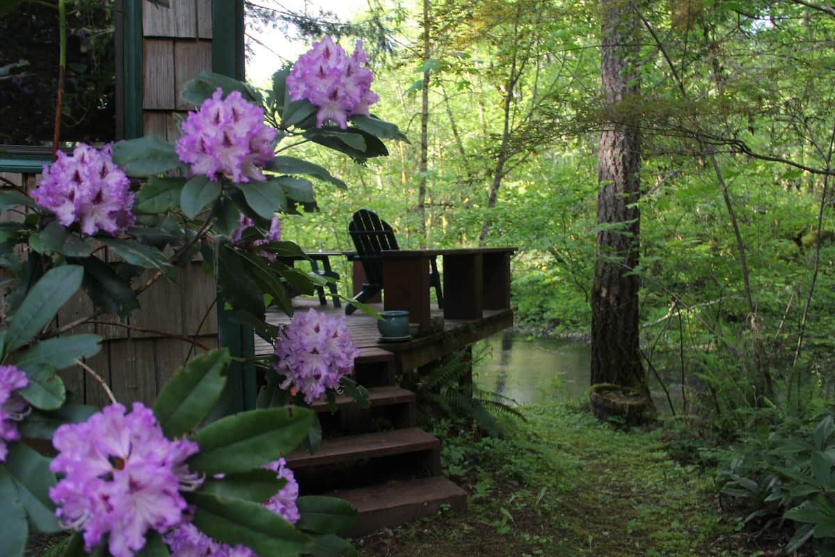 Cabin near Cottage Grove Oregon. A deck hangs over a stream in the woods.