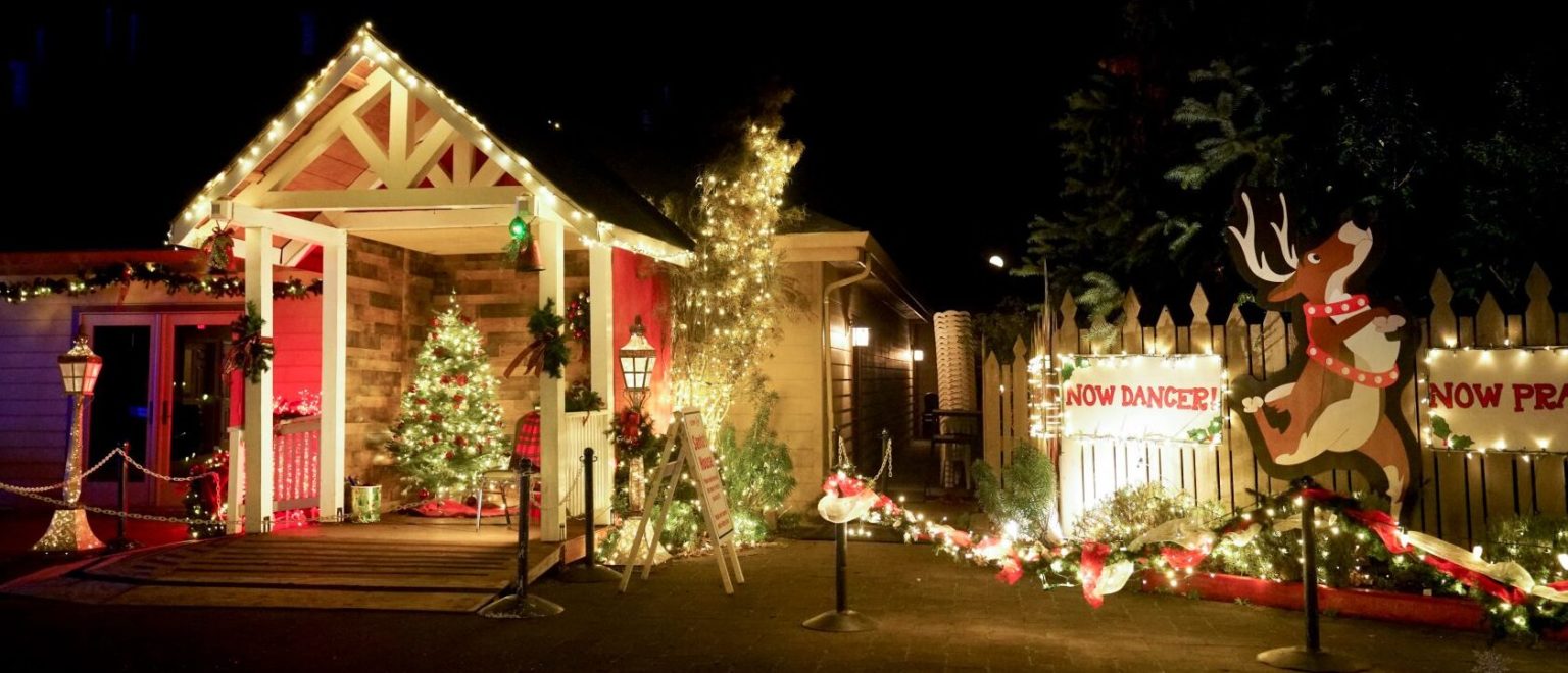 Experience Holiday Magic at the Silverton Christmas Market This Year