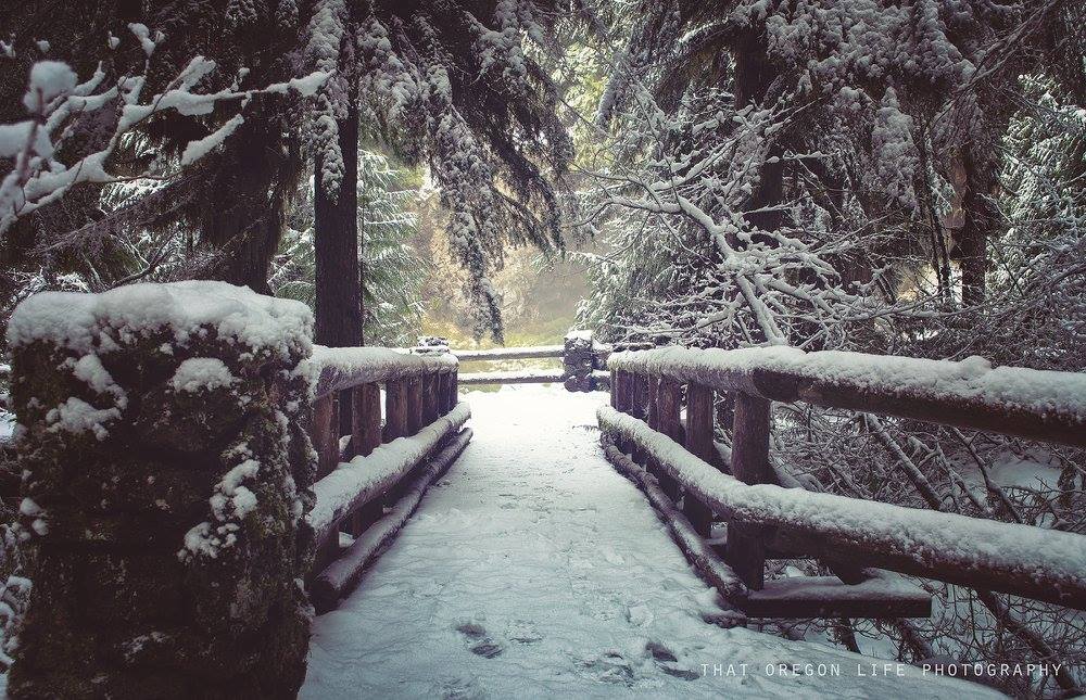 mckenzie river trail