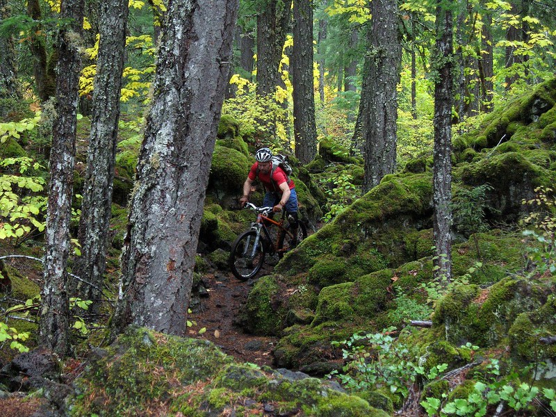 A biker riding a mountain bike through a lava flow covered in moss and surrounded by trees on the McKenzie River Trail.