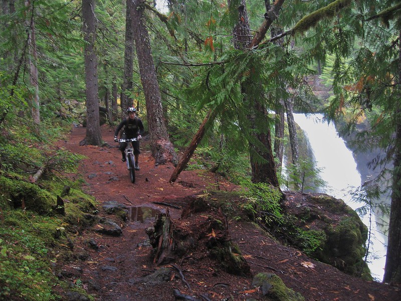 A mountain biker on the McKenzie River Trail.