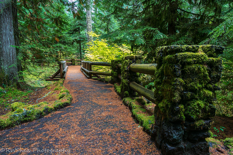 McKenzie River Trail.