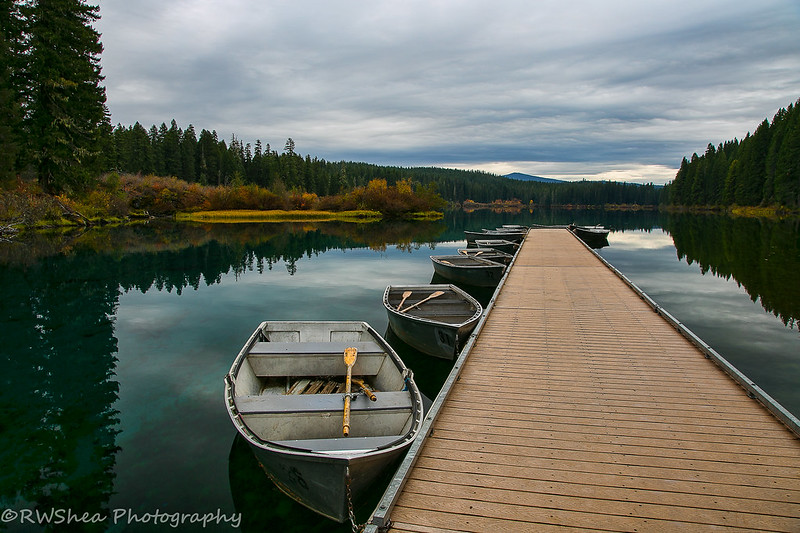 Row boats at a dock on Clear Lake.