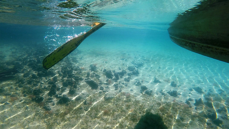 The bottom of a boat and paddle as seen from below the surface of the crystal clear waters of Clear Lake.