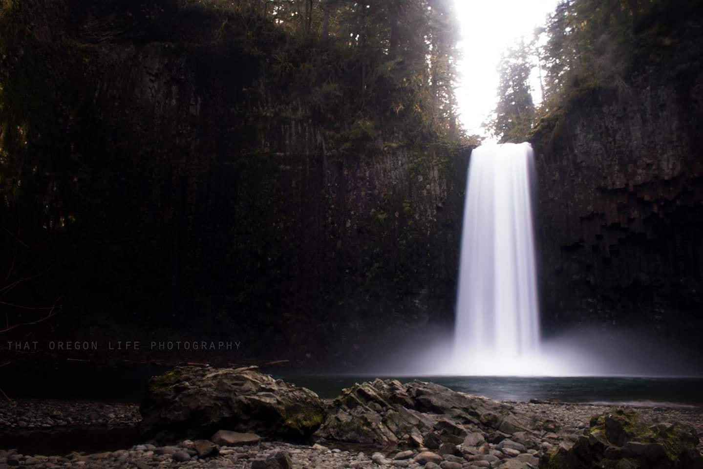 13+ JawDropping Waterfalls Near Eugene, Oregon