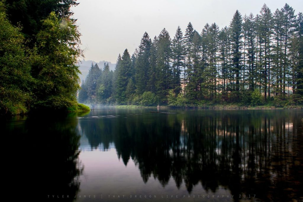 mckenzie river