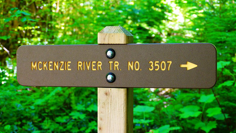 mckenzie river trail