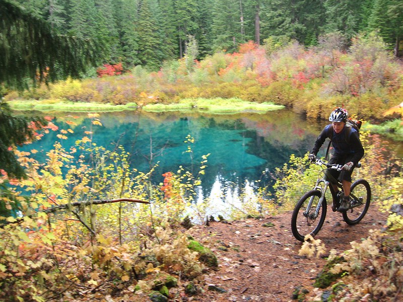 mckenzie river trail