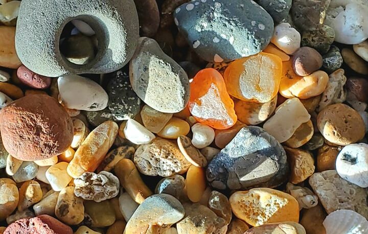 Rockhounding 101: Must-Have Tools for Rock Collecting