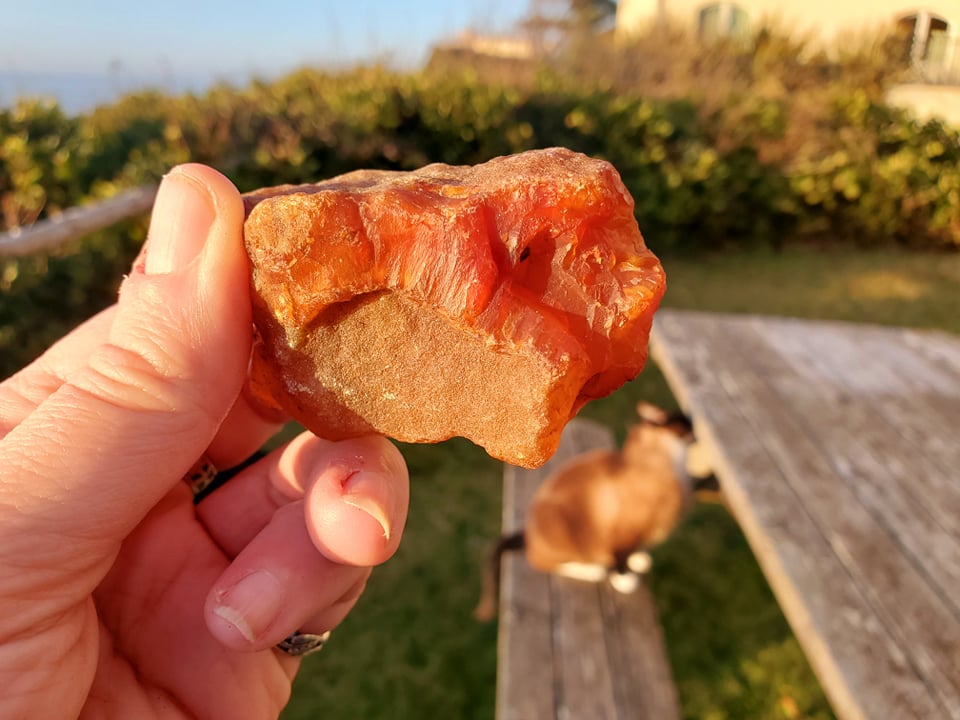 rockhounding oregon carnelian agate