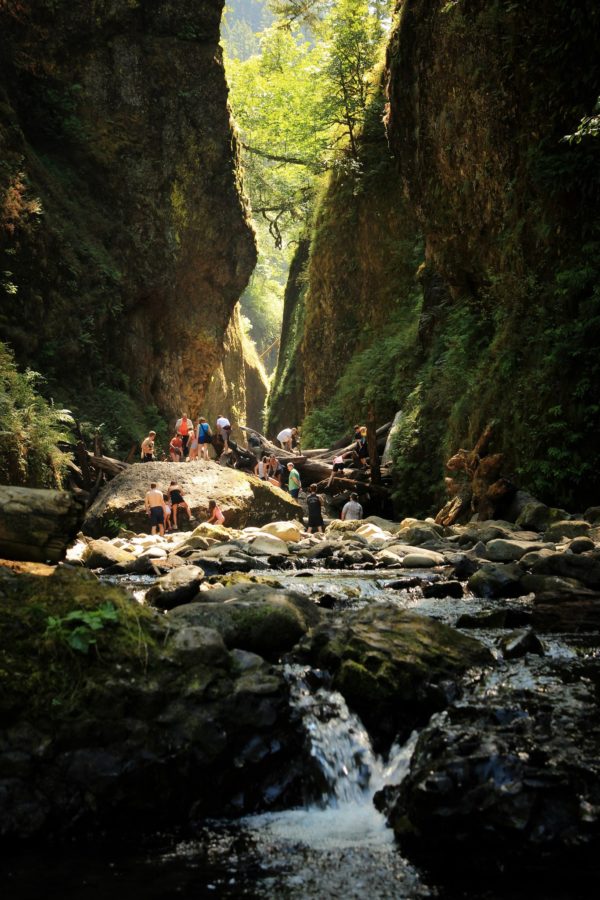 Oneonta Gorge