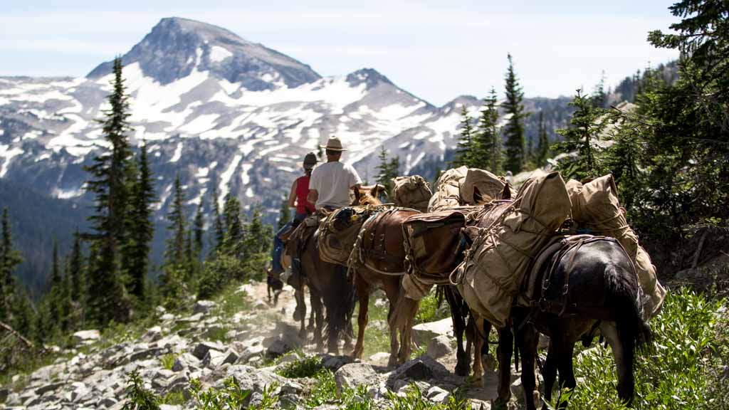 wallowa lake horseback riding