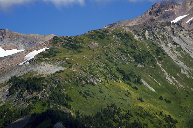 Hiking Mount Hood