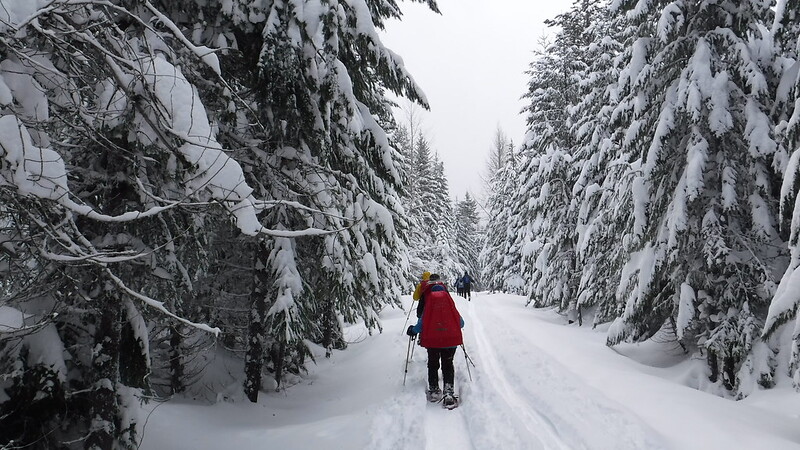 Snowshoe Mt Hood