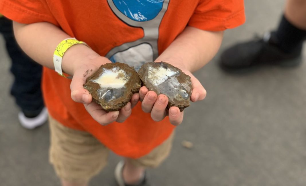 Oregon is a Rockhounding Paradise All the Best Public Sites Are Right Here