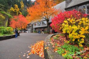 multnomah falls lodge