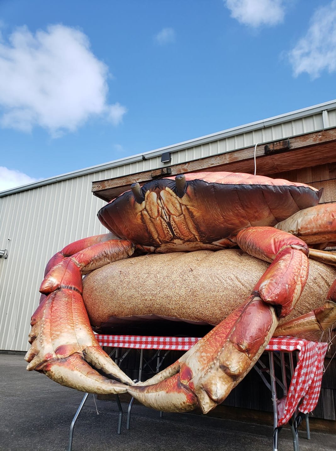 40th Annual Astoria Crab, Seafood And Wine Fest Returns In April 2022