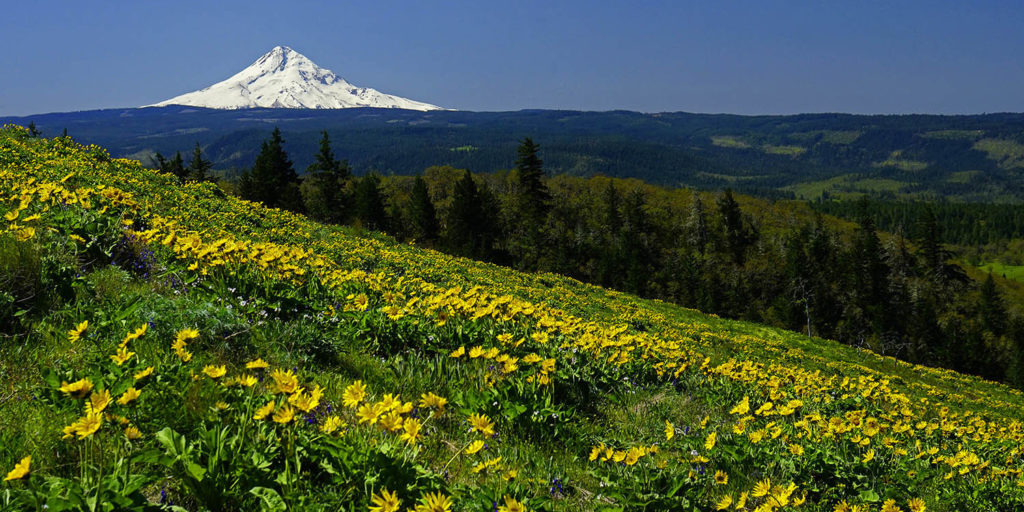 oregon state parks, mt. hood, columbia river, cascade mountains