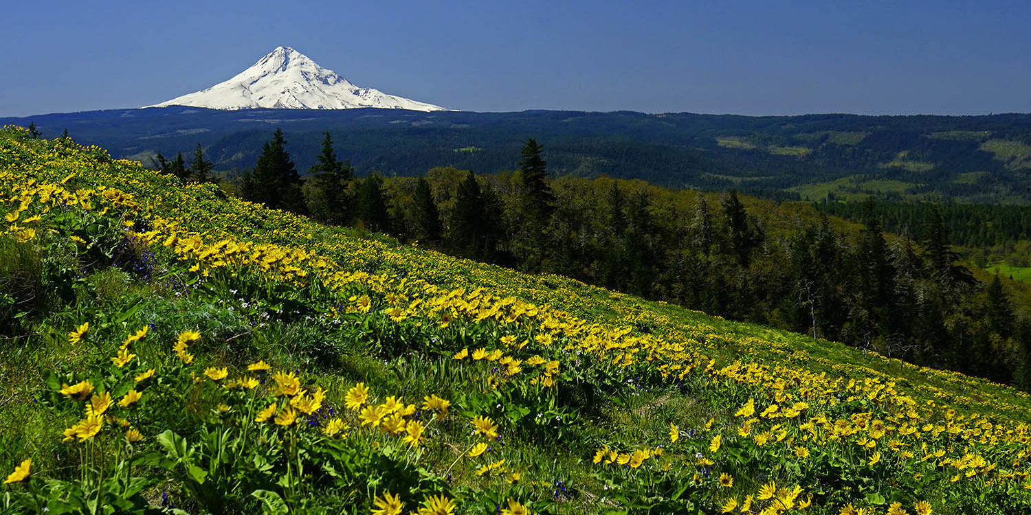 oregon state parks