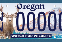watch for wildlife license plate