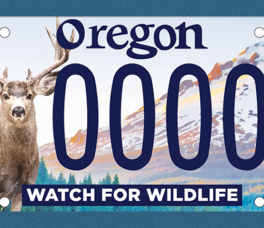 watch for wildlife license plate