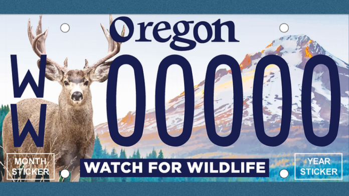 watch for wildlife license plate