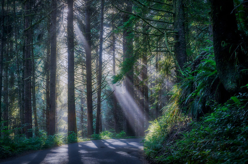 ecola state park in seaside oregon