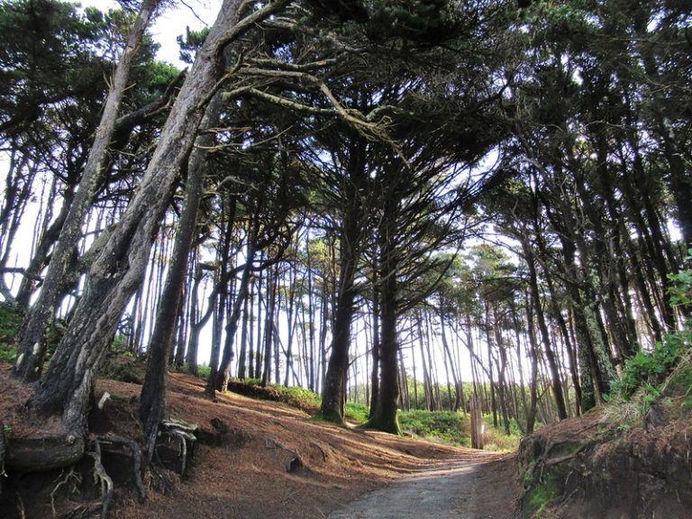 The Best Things To Do In Gleneden Beach Oregon This Year