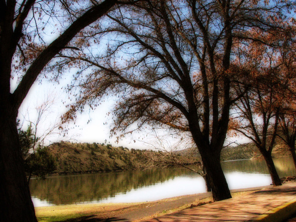 Prineville Reservoir State Park