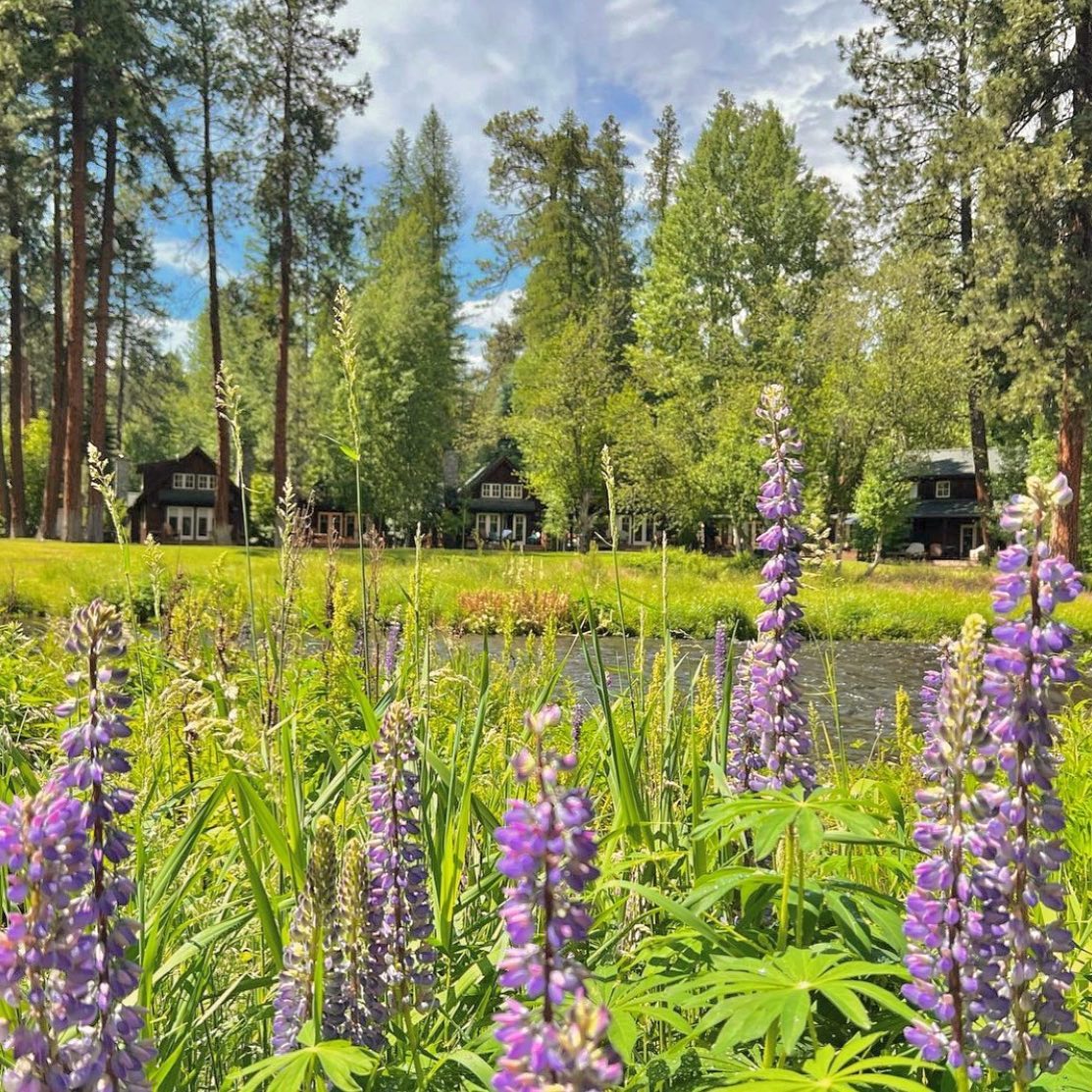 These Luxury Cabins On The Metolius River Are Perfect For A Weekend Getaway