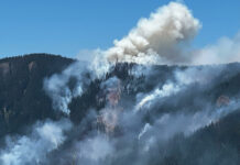 Fire raging on forested mountaintops near Cedar Creek