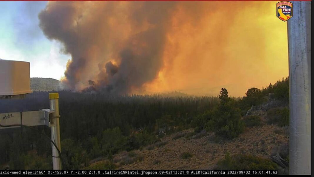 Fire In Weed California Explodes To 900 Acres, Mandatory Evacuations, HWY