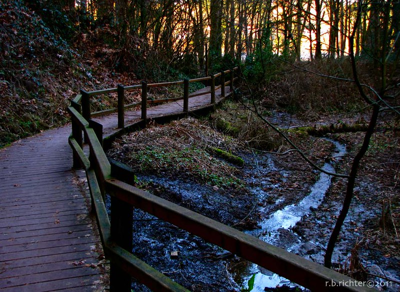 Mary S Young State Park In West Linn Best Places To Live In Oregon