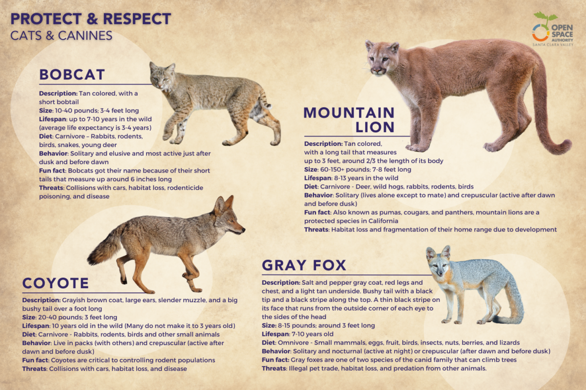 Unexplained mystery sounds oregon Wildlife Infographic oregon predators