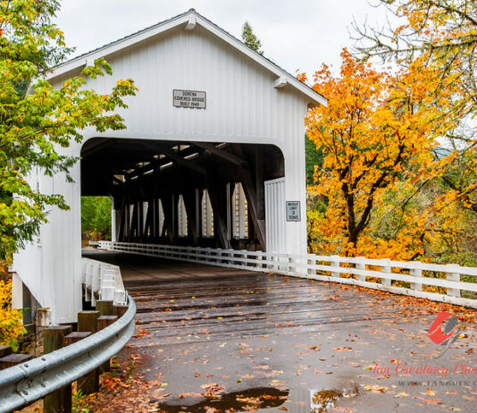 Yellow and orange leaves next to the white Dorena covered bridge in fall with fall leaves on the road.