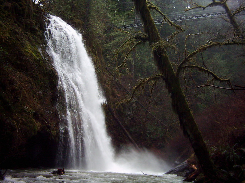 Drift Creek Falls Oregon Fog