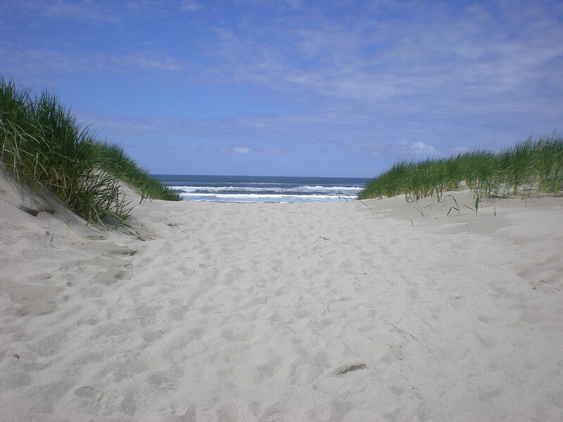 Ocean view from beach dunes in Manzanita Oregon