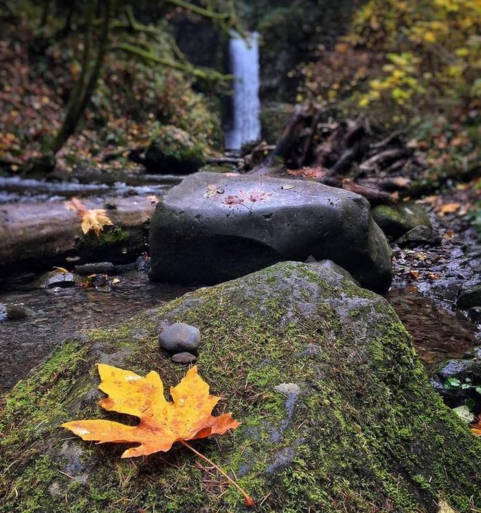 multnomah falls lodge