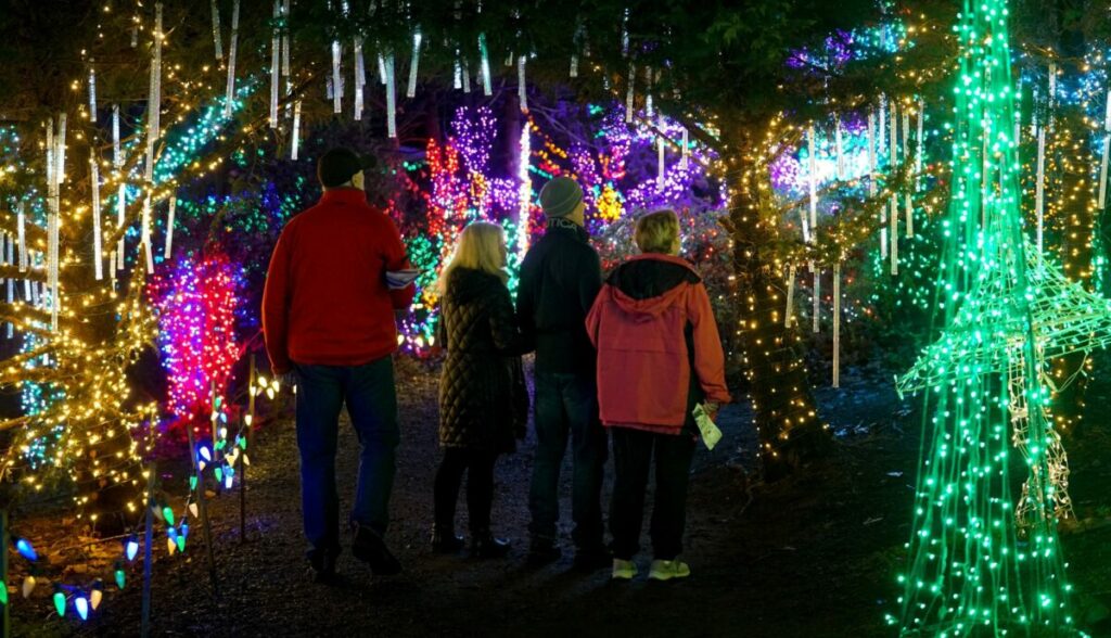silverton christmas market 2022